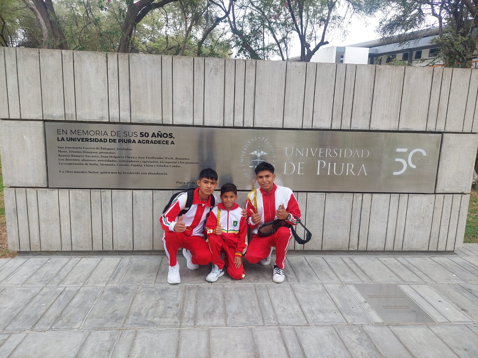 Imagen 3